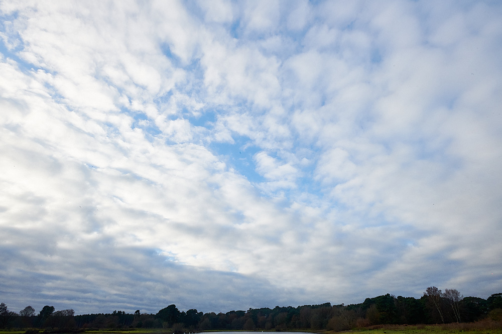 EastWretham151221-24