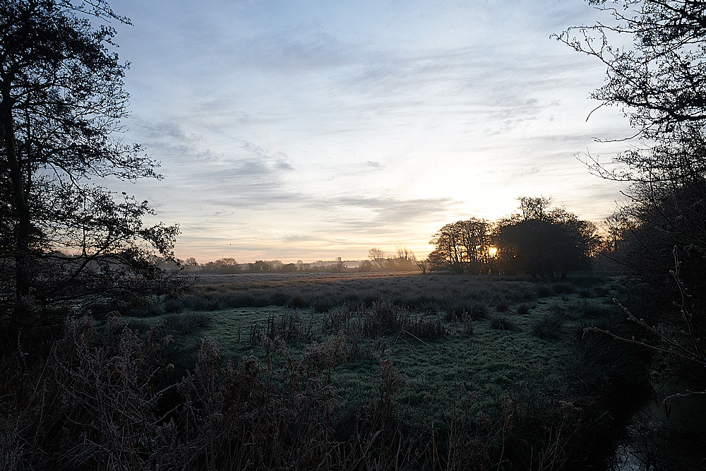 Martham Staithe221221-1