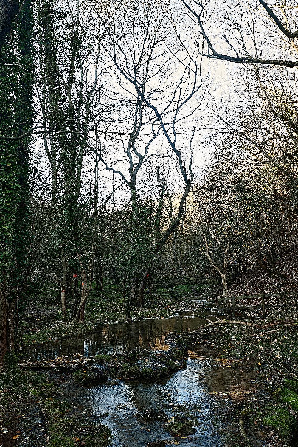 Monk'sDale211121-2 1